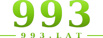993 logo